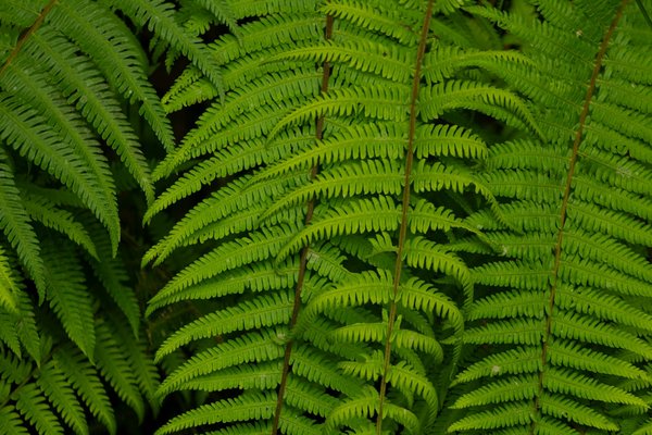 Devenez sauveur secouriste du travail à Limoges !
