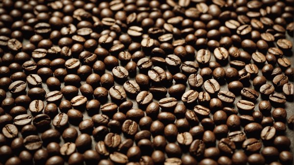 Sélection de grains de specialty coffee: saveurs uniques et qualité